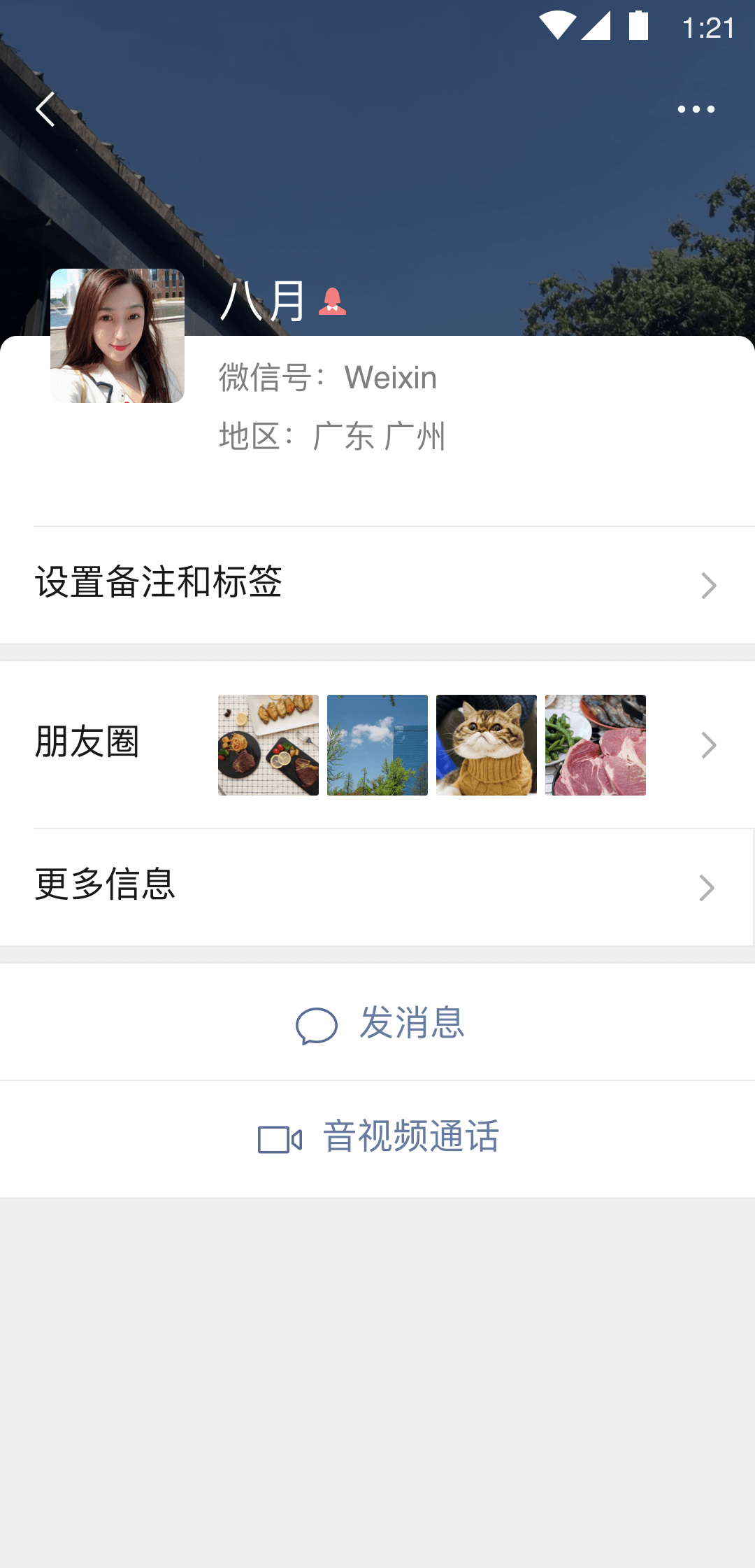 杭州加菲猫信息咨询公司截图